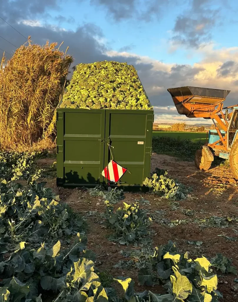 Productores de hortalizas en Zaragoza