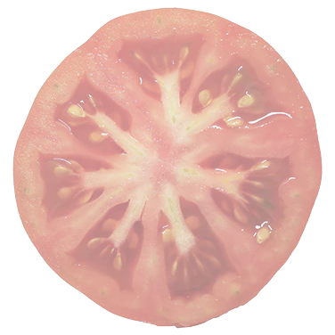Tomate